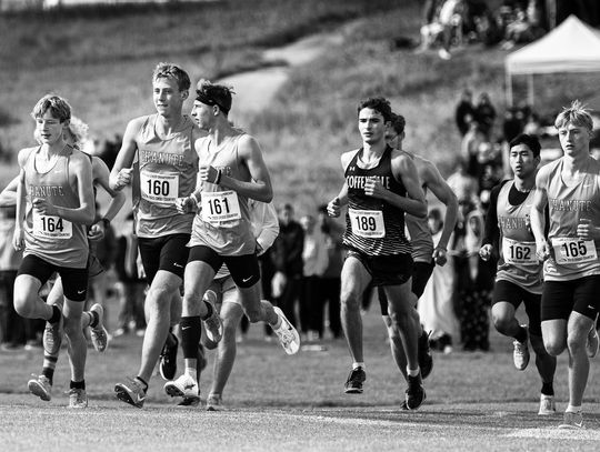 Blue Comets finish fourth at state