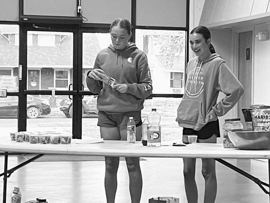 Busy Bees 4-H learns about parliamentary procedure