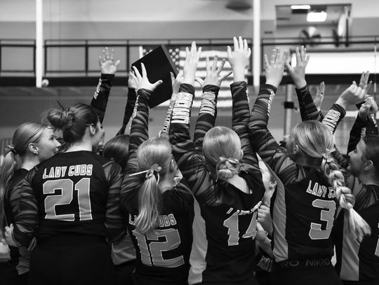 Cubs punch state volleyball ticket at home