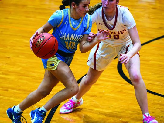 Holtzman emerges, Blue Comets blow by Grizzlies