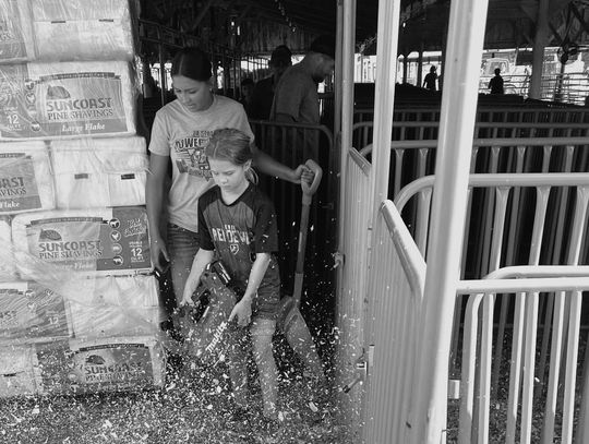 Jolly Jayhawkers 4-H prepares for Neosho County Fair