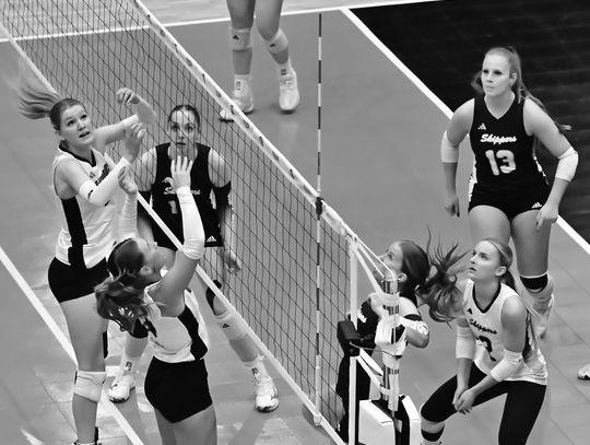 Panthers lose first two matches at nationals