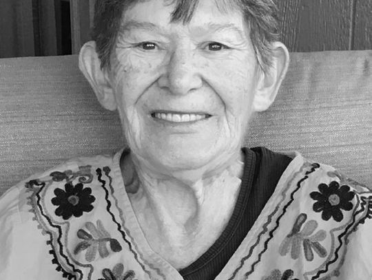 Patricia Jean Cook Patricia Jean Cook