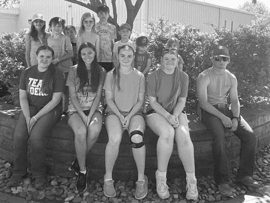 Southeast Sunflowers 4-H plants flowers in St. Paul, prepares for county fair