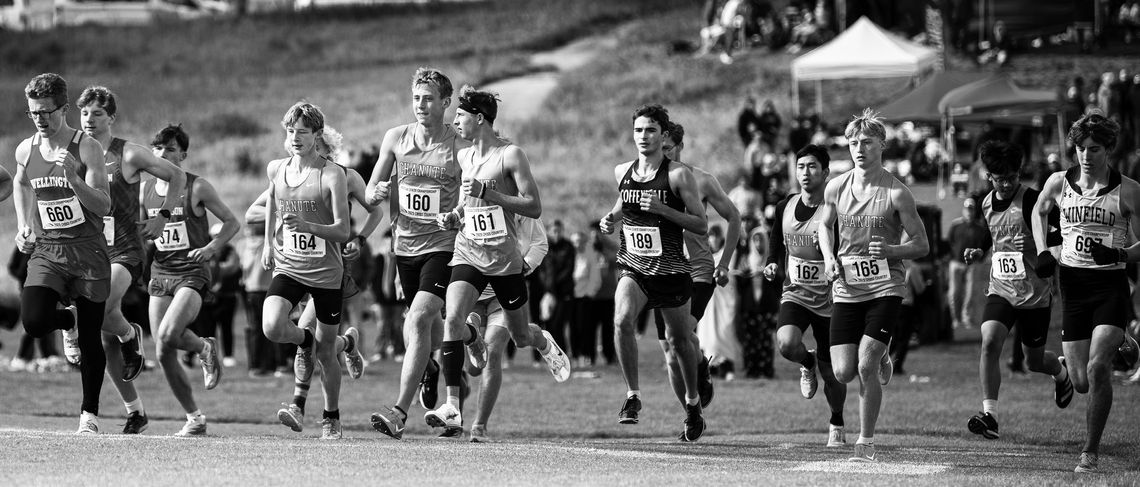 Blue Comets finish fourth at state