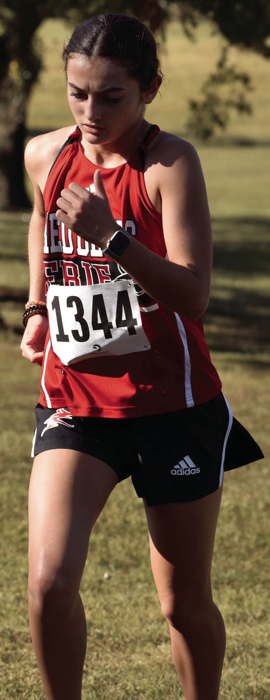 Erie runners race at Columbus